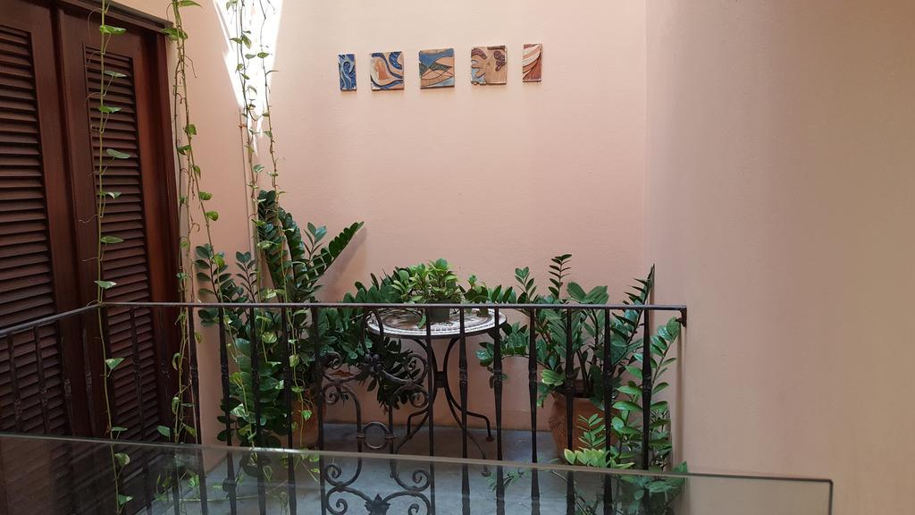 Casa Del Valle Guest House San Juan Eksteriør billede